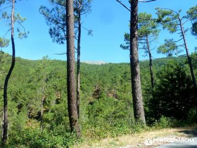 Pinares Angostura, Piedralaves; excursiones y senderismo;viajes fin de semana;senderistas